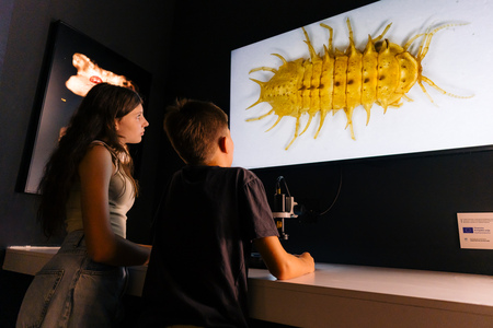 Digitalna mikroskopa (foto: Alen Franetič)